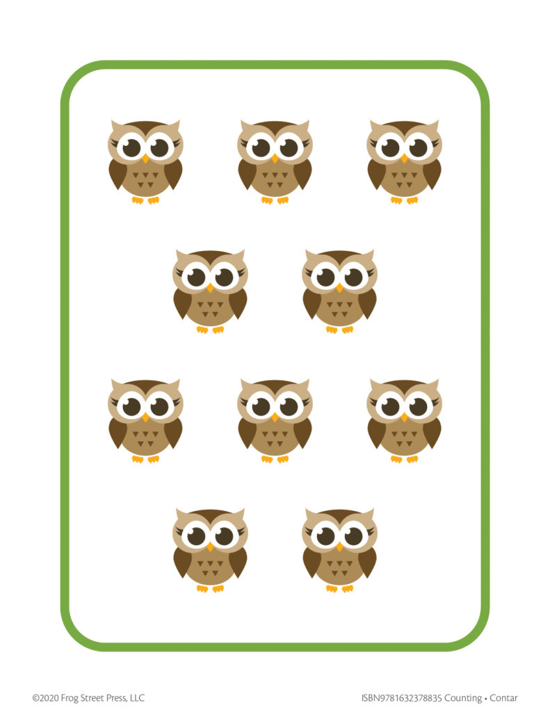 ten owls