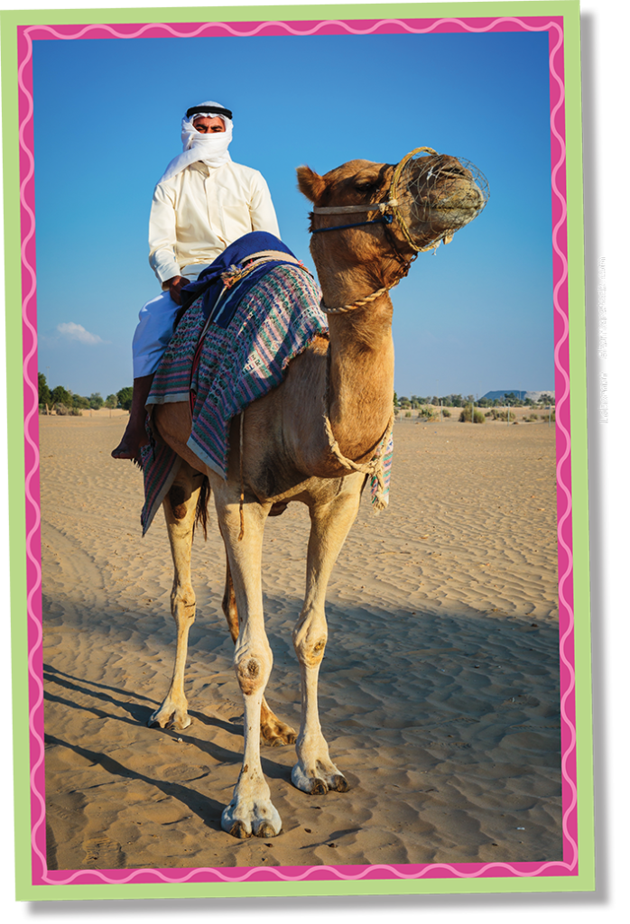 man riding a camel