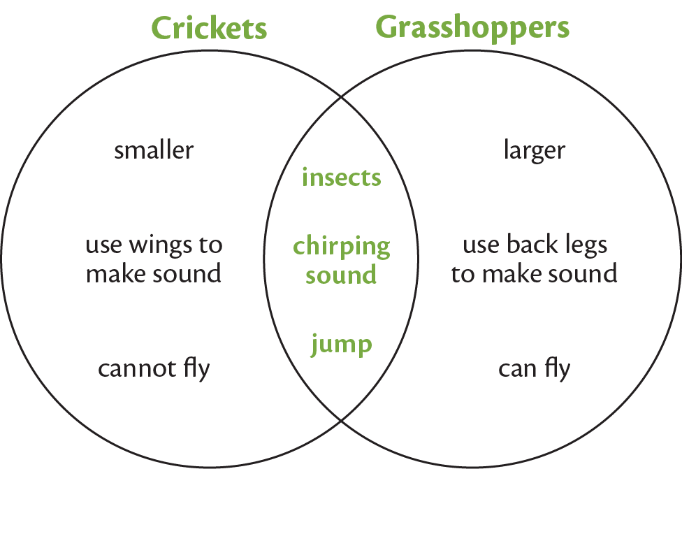 venn diagram