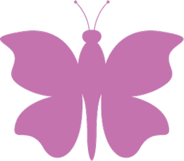 pink butterfly